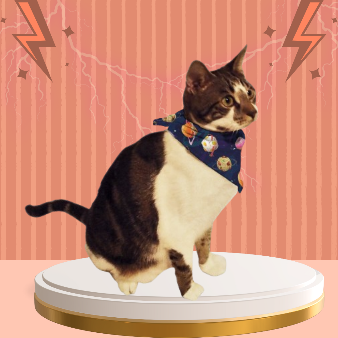 Food Planets Cat & Dog Bandana