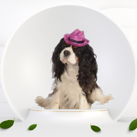 Cowboy Pink Glitter Pet Hat