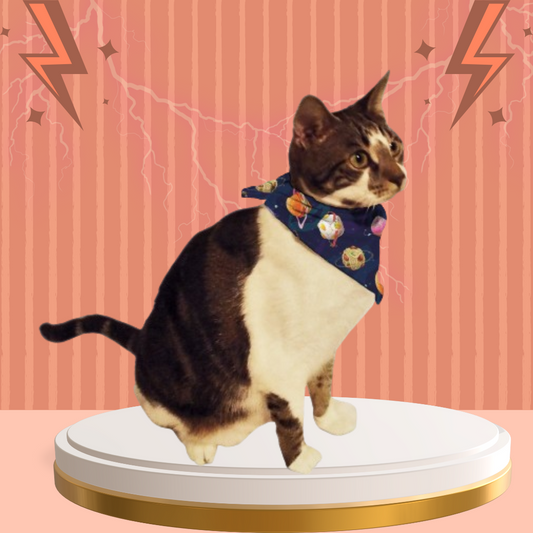 Food Planets Cat & Dog Bandana