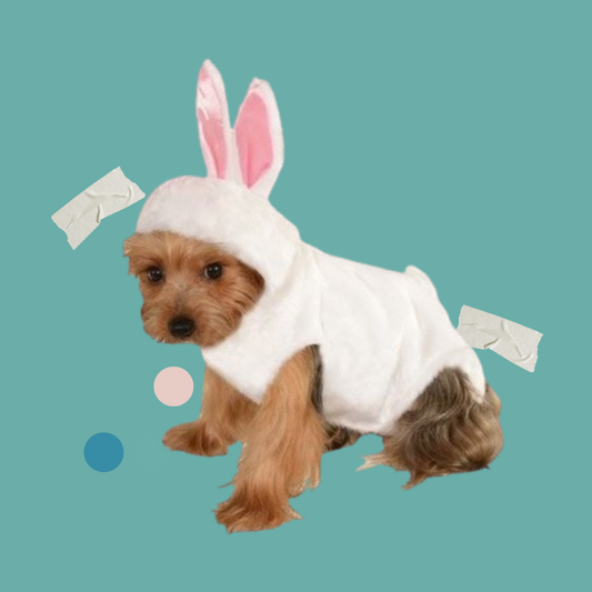 Bunny Pet Costume