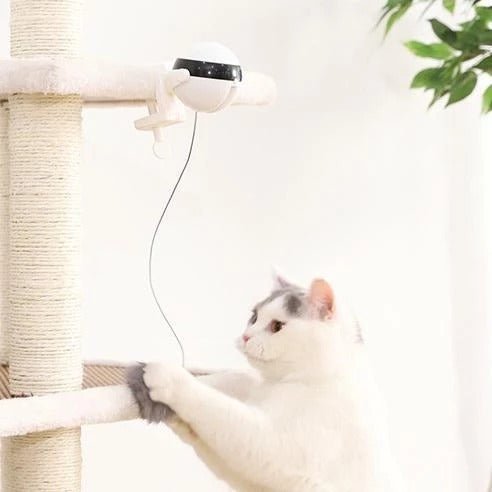 SpinChase interactive electronic motion cat toy - product view 6