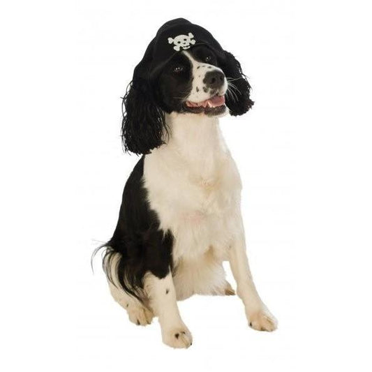 Pirate Boy Pet Hat